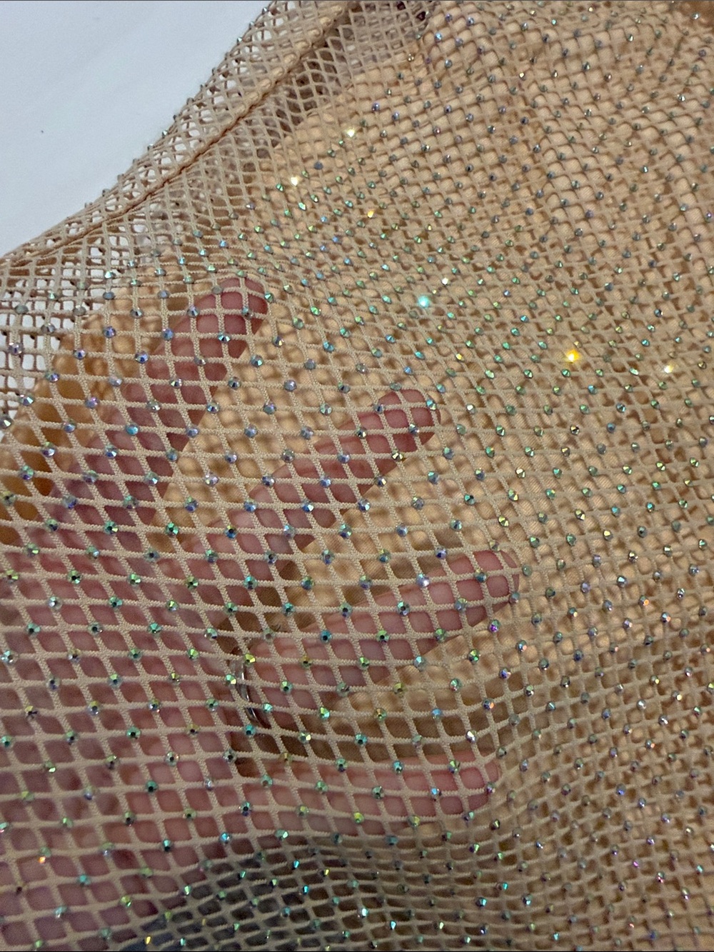 Sunday in Brooklyn (Anthro) Netted Sparkley Nude Layered Crop Top with Liner - Picture 3 of 5